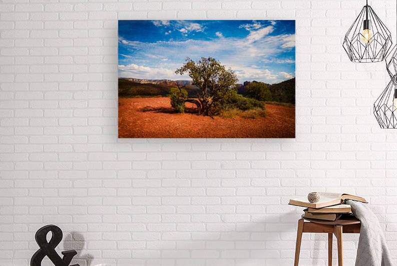 Gnarled Ode on Reddish Earth by Dream World Images