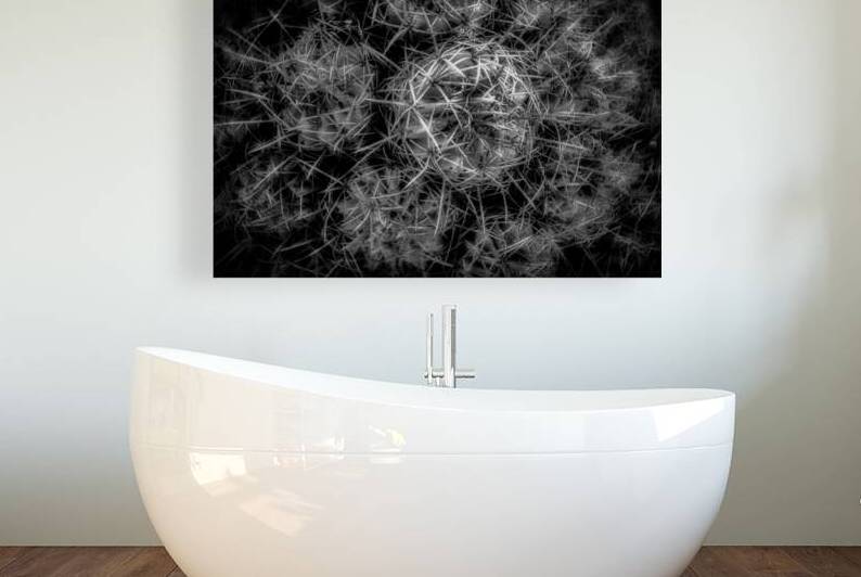 Thorny Tapestries by Dream World Images