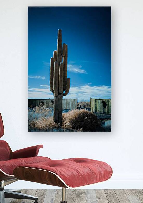 Harmony of Spines and Sky by Dream World Images