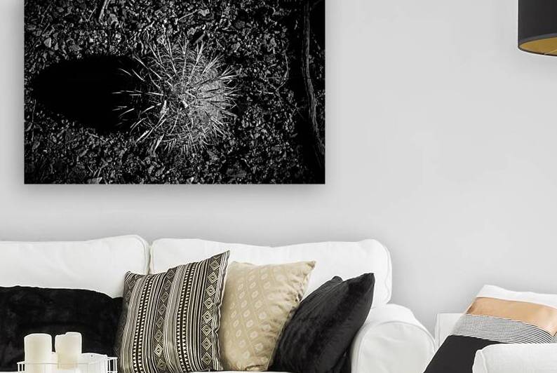 Prickly Silhouette by Dream World Images