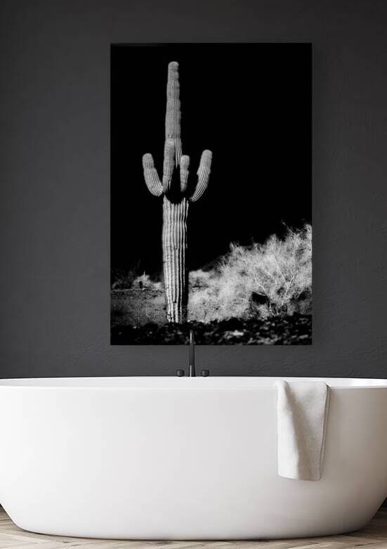 Vertical Echoes in a Desert Canvas by Dream World Images