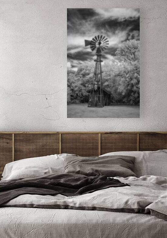 Silhouette of Whirling Whispers by Dream World Images