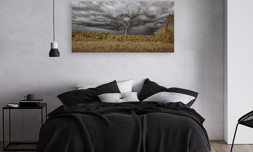 Rooted in the Tempest by Dream World Images