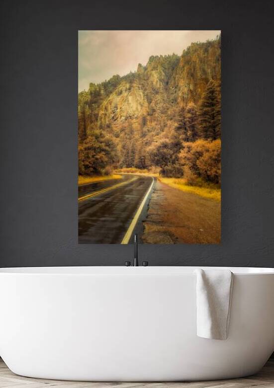 Reflections of a Rain Kissed Road by Dream World Images