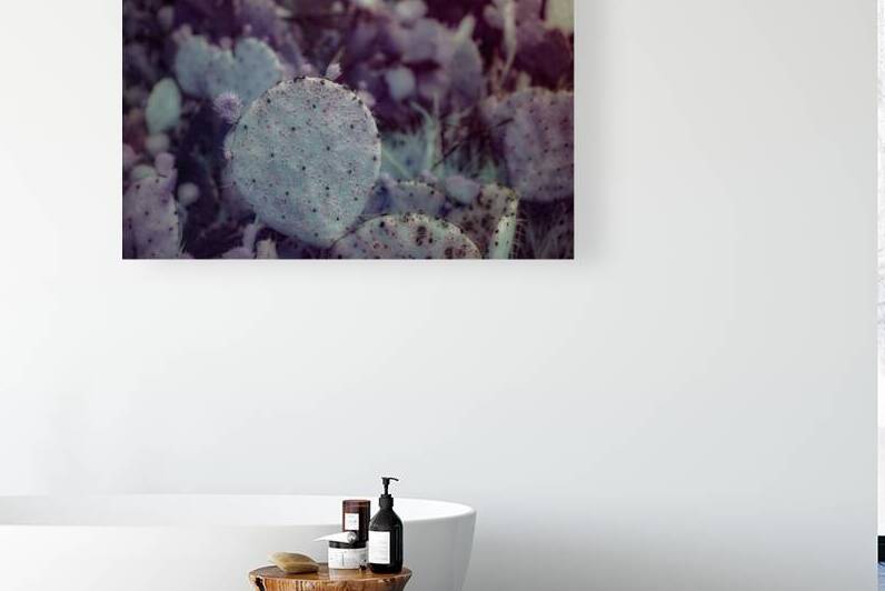 Desert Shadows: Purple Infrared Texas Cactus by Dream World Images