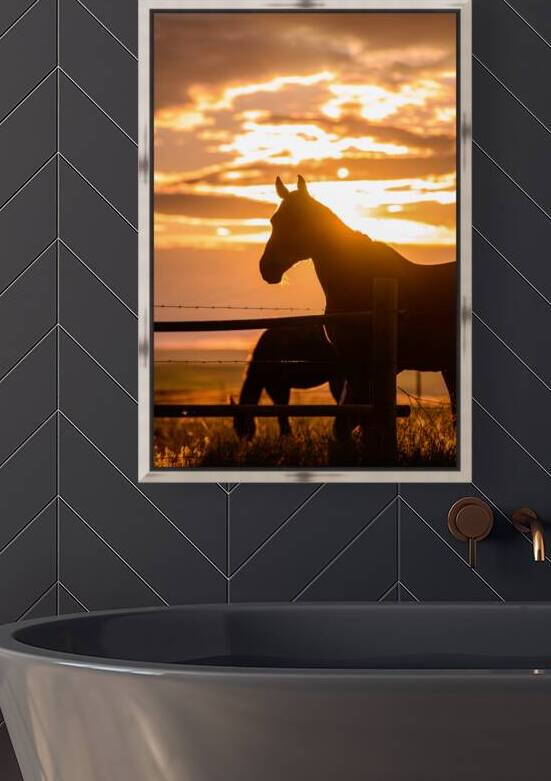 Sunset Silhouette: Portrait of Ernie by Dream World Images