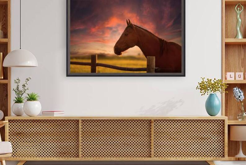 Dreams Beyond the Fence by Dream World Images