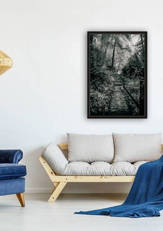 Enchanted Path: A Rain Kissed Journey in Natural Bridge State by Dream World Images