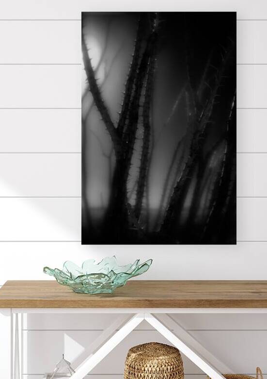 Shadows Weave Through Thorned Spire by Dream World Images