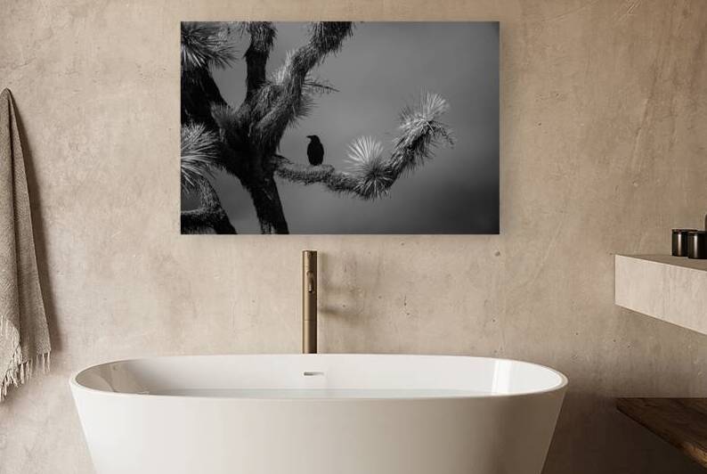 Perched in the Shadow of Spikes by Dream World Images