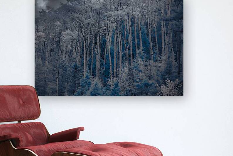 Ethereal Blue Amidst Monochrome Forest by Dream World Images