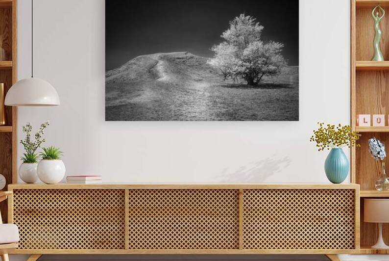 Silent Beauty: Navigating the Badlands with My Companions by Dream World Images