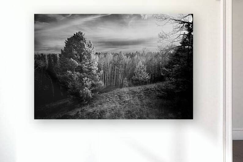 Mueller Aspen Series: Natures Finale by Dream World Images