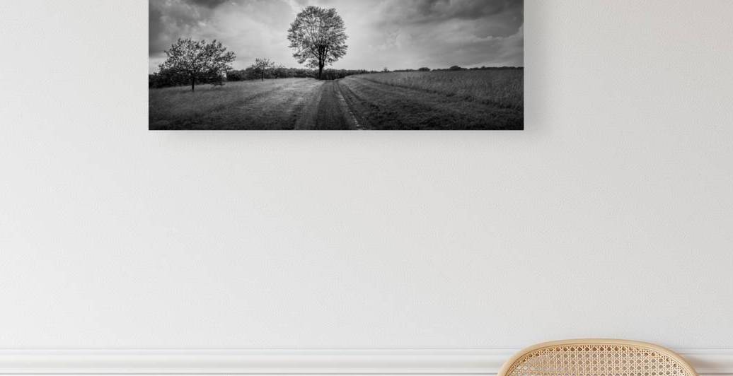 Stormy Tree by Dream World Images