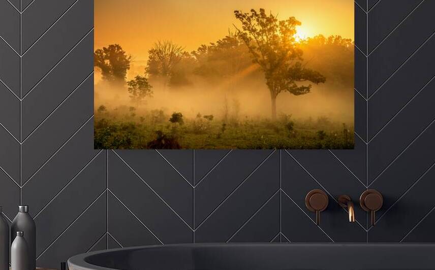 Misty Morning Glow: Dawn in Gettysburg by Dream World Images