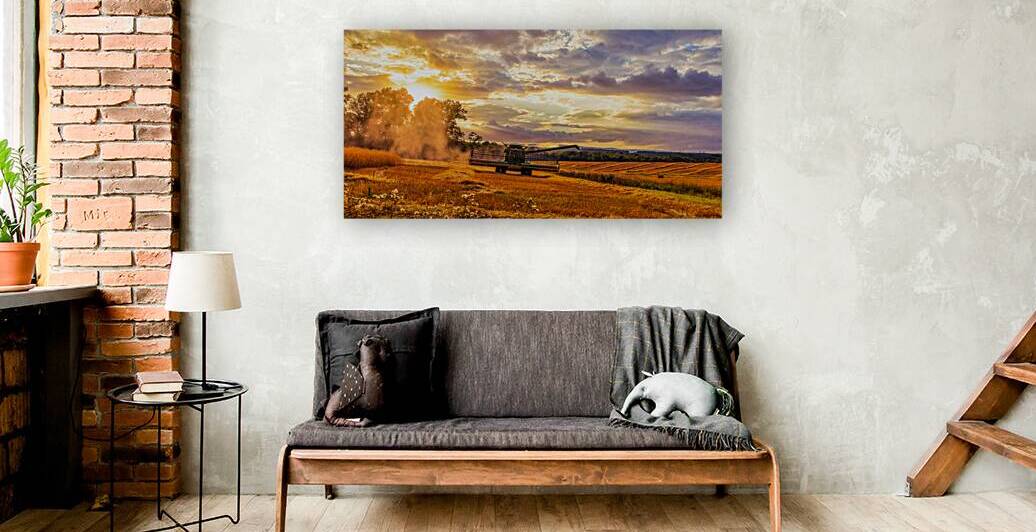 Harvest Gold by Dream World Images