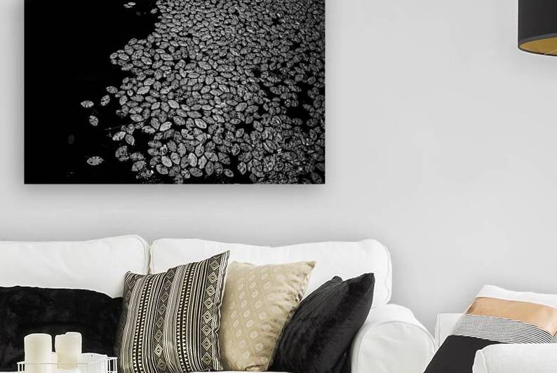 Lily Pad Dance by Dream World Images