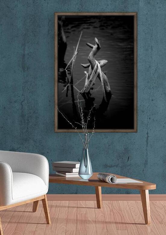 Serene Sylvan Lake: A Tale of Resilience and Reflection by Dream World Images