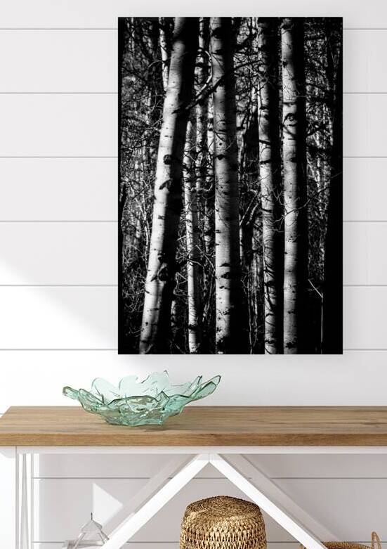 Aspens Sacred Lines by Dream World Images