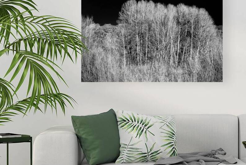 Winters Light Dancers by Dream World Images