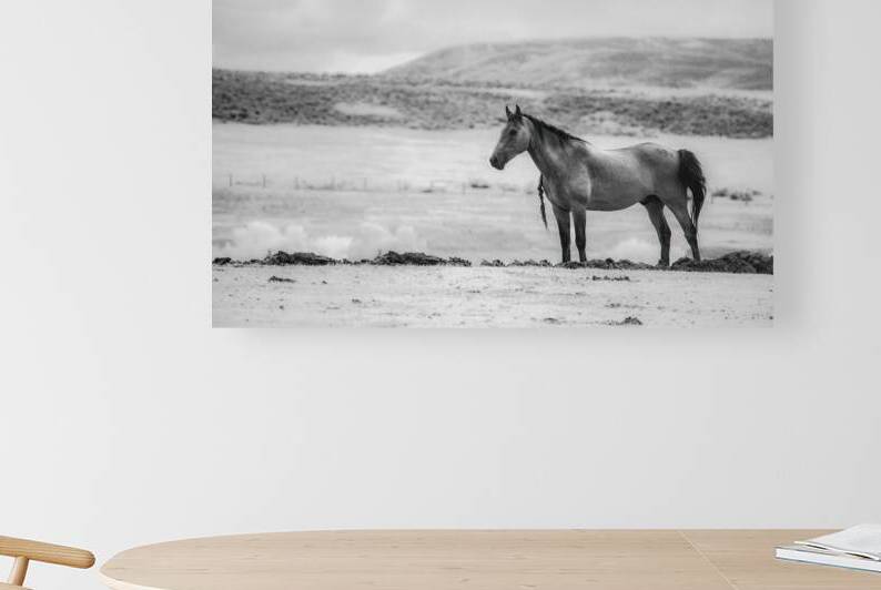 Solitary Majesty   Wind River Sentinel by Dream World Images