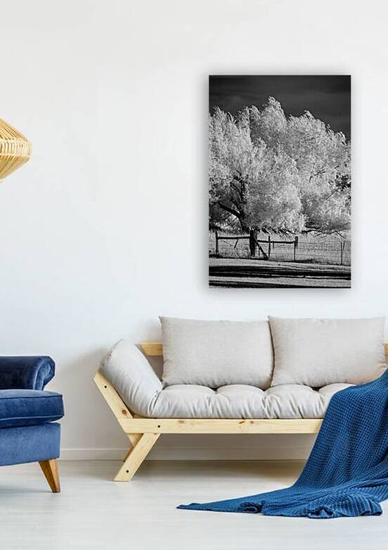 Luminous Guardians   Infrared Sentinels by Dream World Images