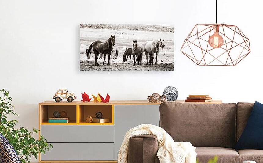 Wild Bonds   Wyoming Fellowship by Dream World Images