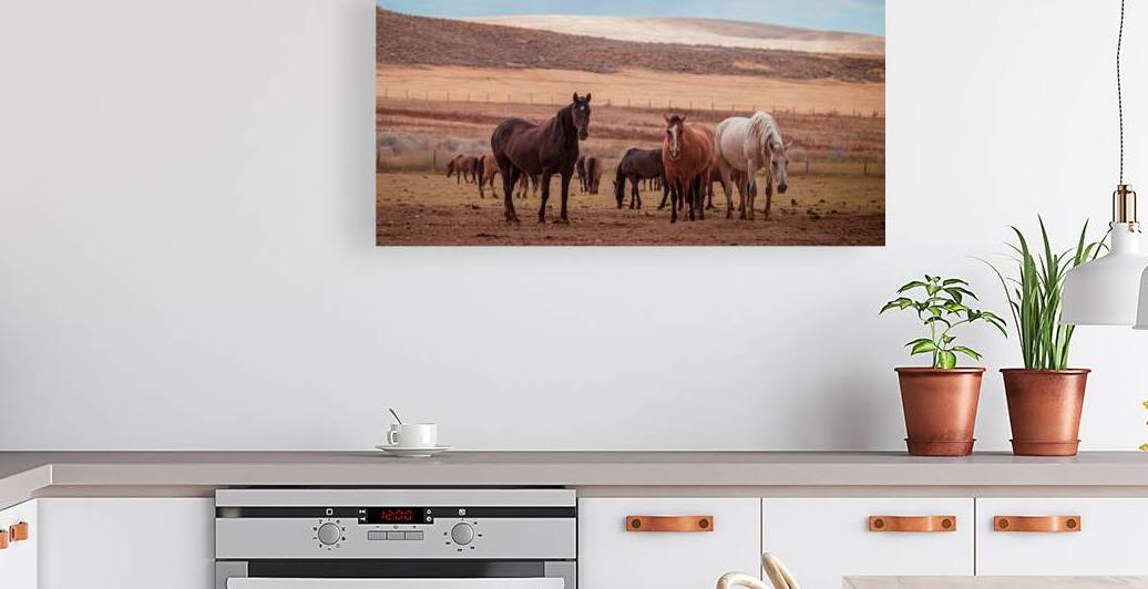 Wild Freedom   Wind River Guardians by Dream World Images