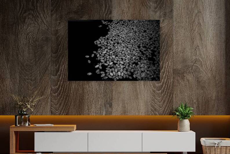 Lily Pad Dance by Dream World Images