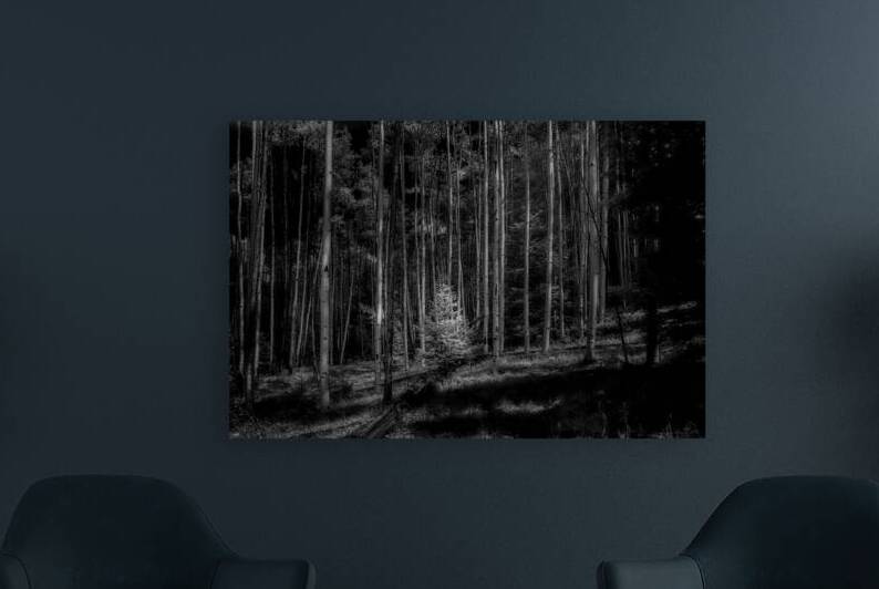 Infrared Luminescence on Artist Road by Dream World Images