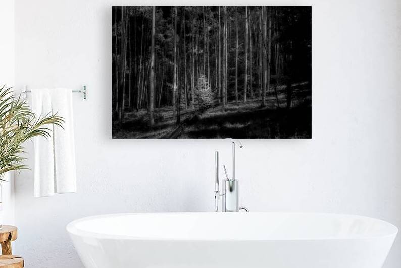 Infrared Luminescence on Artist Road by Dream World Images