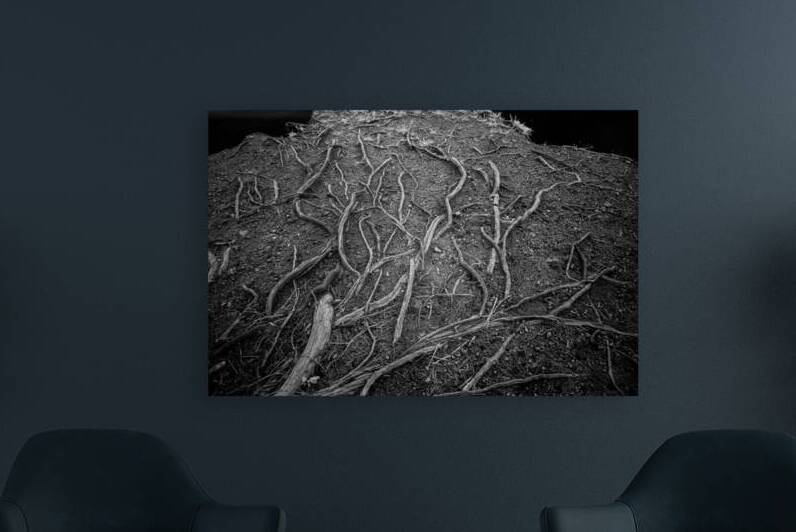 Veins of the Earth by Dream World Images