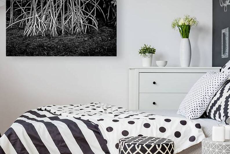 Enchanting Mangrove Tapestry: A Dance of Light and Shadows by Dream World Images