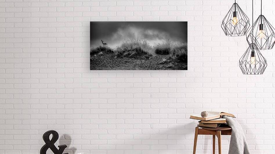 Contemplation Before the Storm by Dream World Images