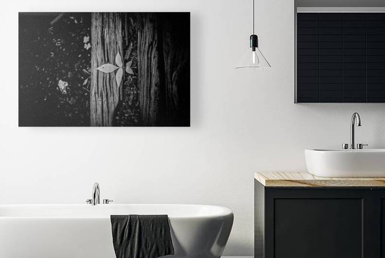 Step Above  by Dream World Images