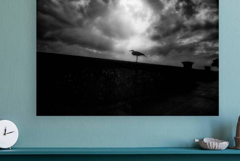 Rainy Day Stroll: Capturing Serenity with a Silhouetted Bird in  by Dream World Images