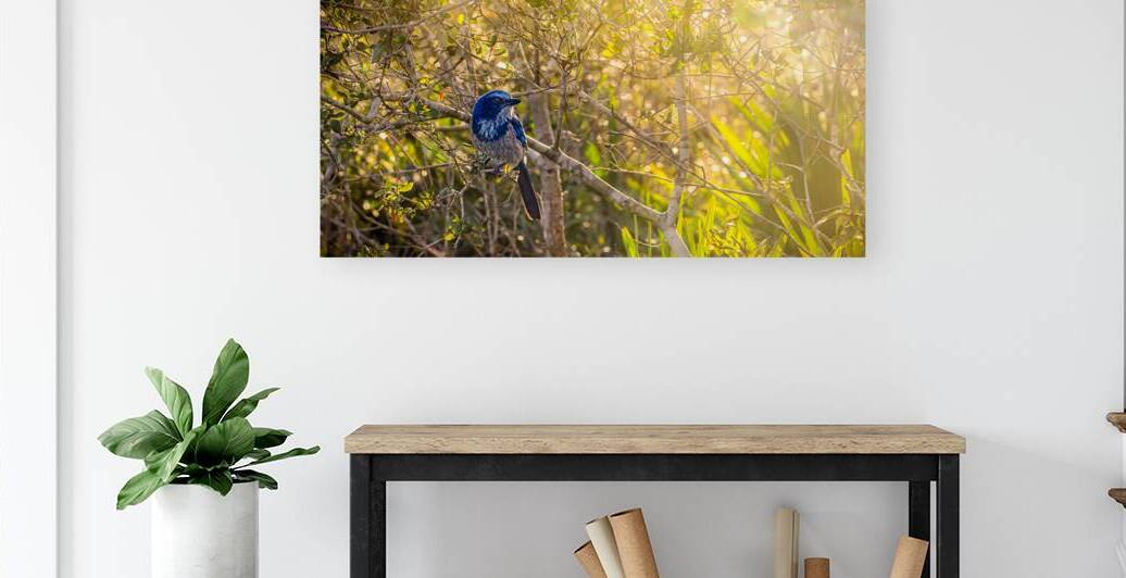 A Feathery Connection: Bluebird Serendipity by Dream World Images