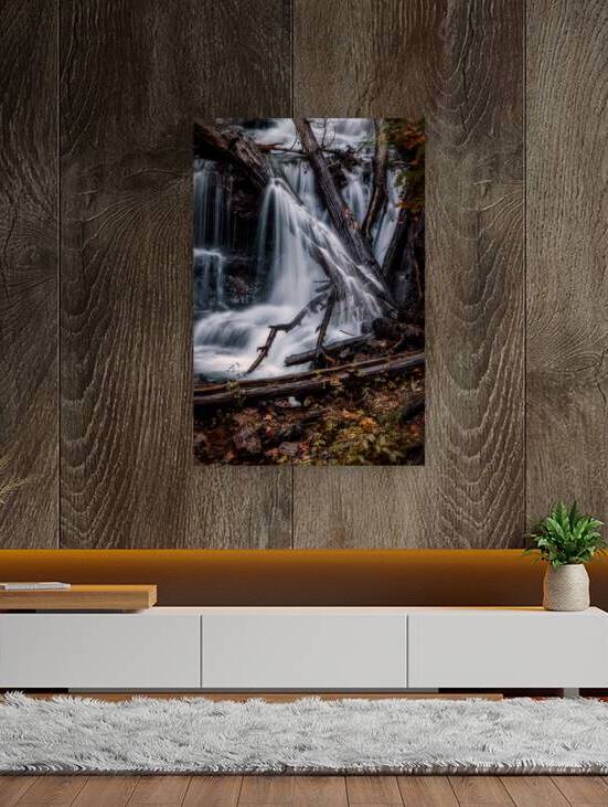 Liquid Light Through Natures Framework by Dream World Images