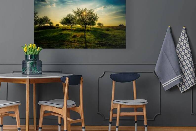 Golden Hour Symphony: Trostle Farms Enchanting Ambiance at Getty by Dream World Images