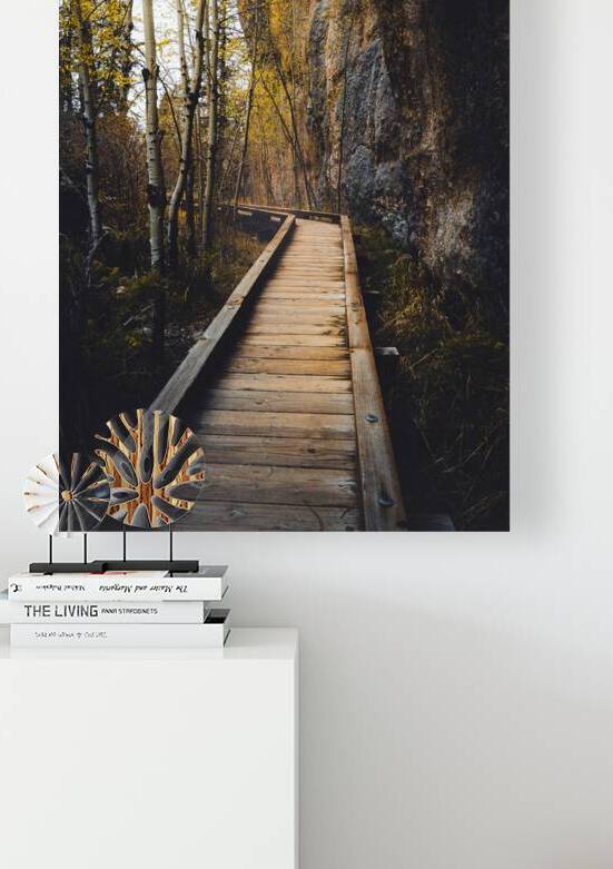 Wooden Trail Serenity: Capturing the Enchanting Rain Kissed Mome by Dream World Images