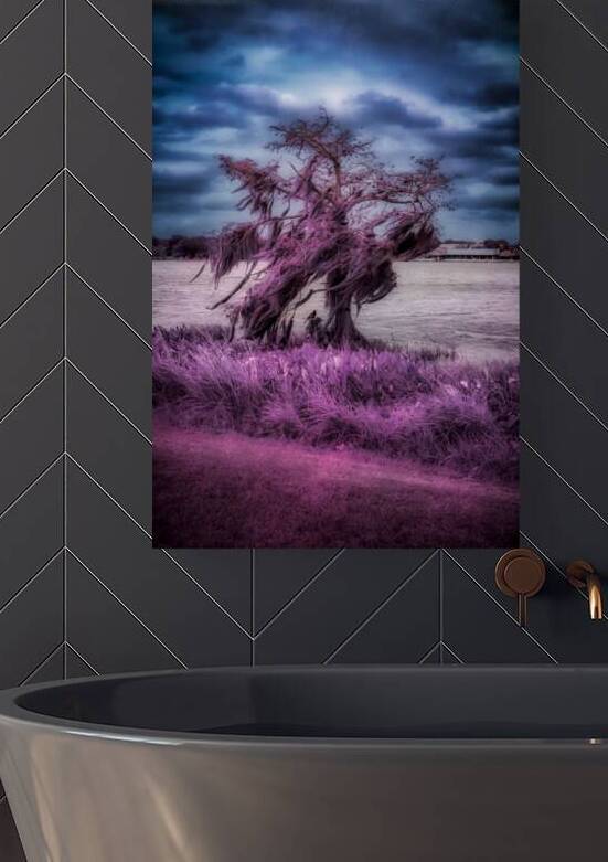 Purple Shelter: A Tranquil Stroll Through Venetian Gardens in Le by Dream World Images