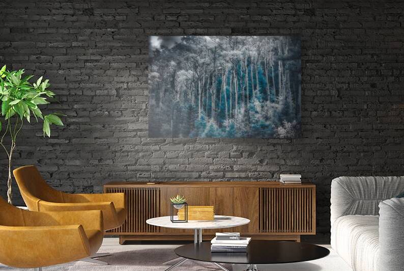 Ethereal Blue Amidst Monochrome Forest by Dream World Images