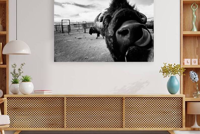 Hello! by Dream World Images