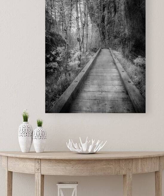 Mystical Journey: Sylvan Lake Wooden Trail in Infrared by Dream World Images