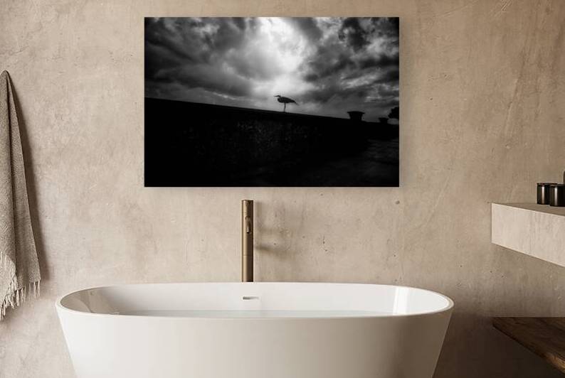 Rainy Day Stroll: Capturing Serenity with a Silhouetted Bird in  by Dream World Images