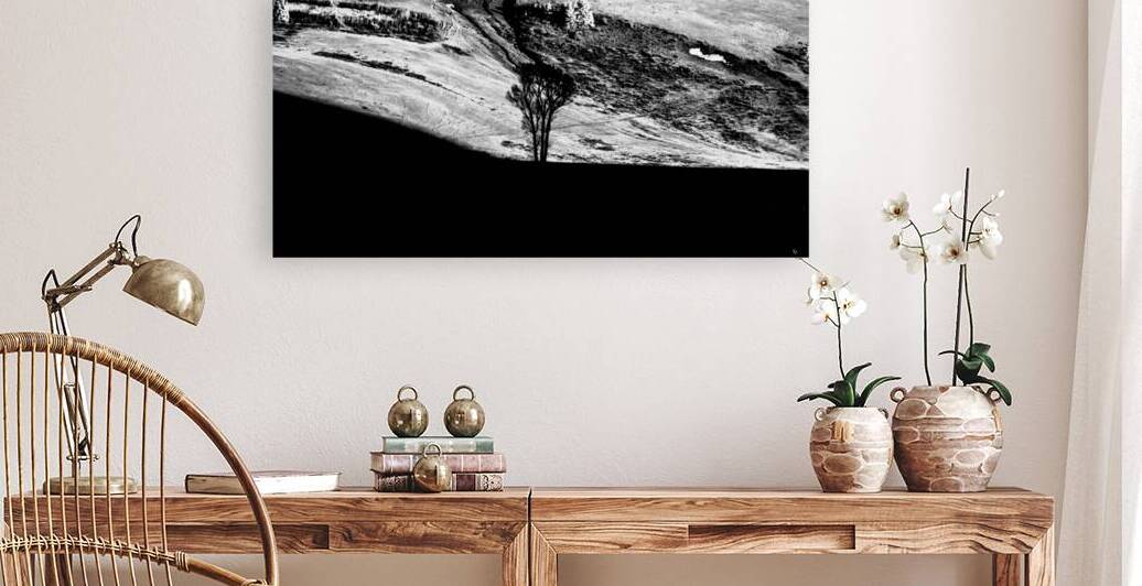 Solitary Sentinel by Dream World Images