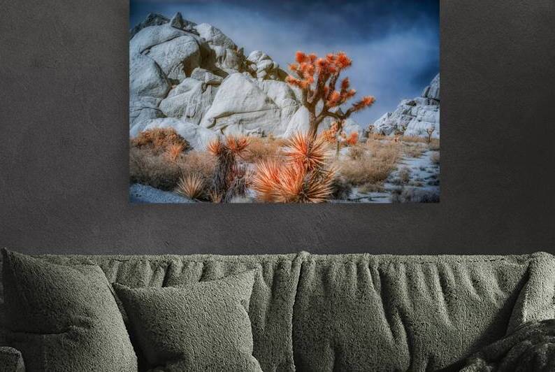 Desert Canvas of Fire and Stone by Dream World Images