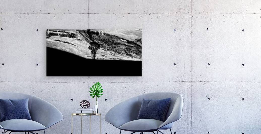 Solitary Sentinel by Dream World Images