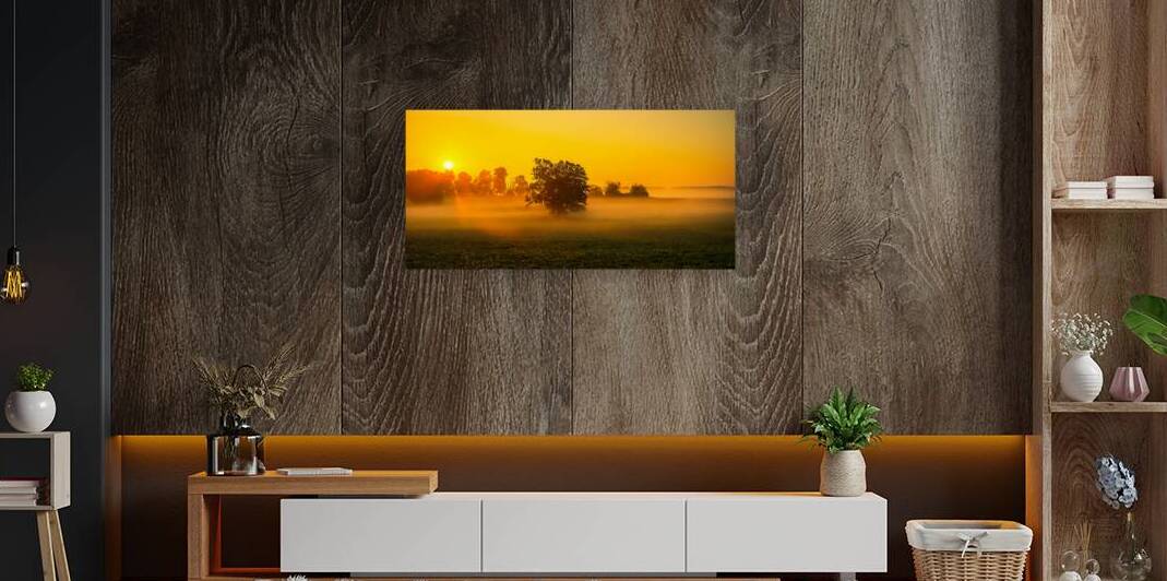 Dawns Embrace: Misty Tree in Gettysburg by Dream World Images