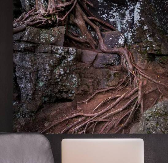 Ancient Bonds of Stone and Root by Dream World Images